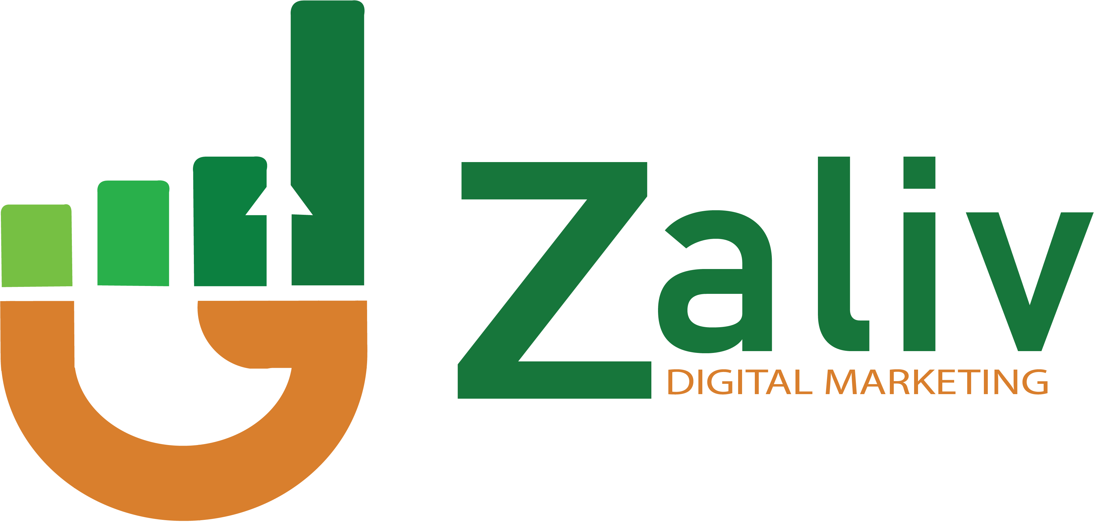 Zaliv Digital Logo